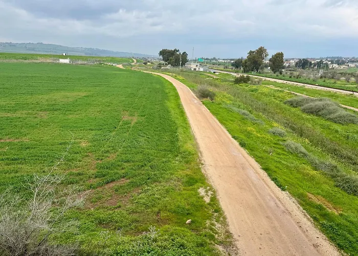 שלווה בגלבוע
